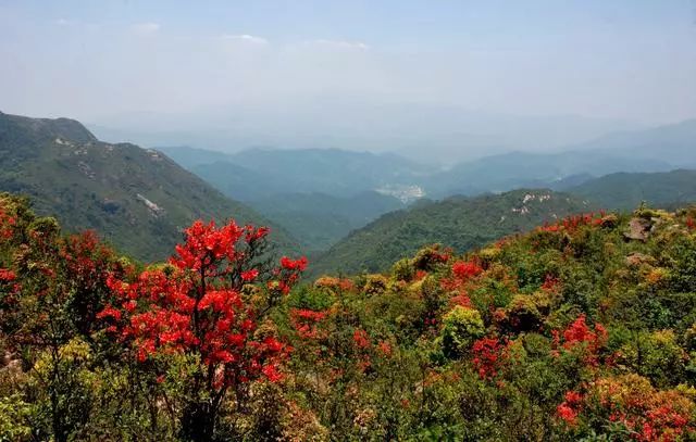 阳山游玩攻略_阳山旅游攻略景点必去_阳山旅游攻略