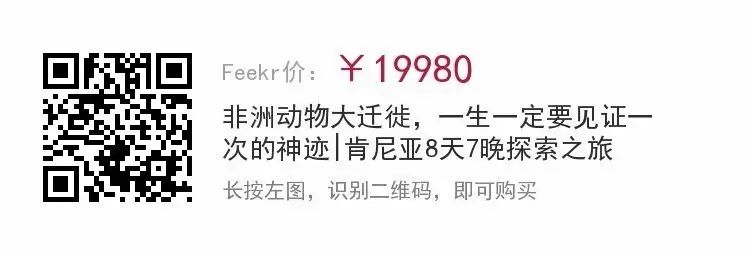 非洲草原旅行_非洲平原攻略_非洲原野旅游攻略