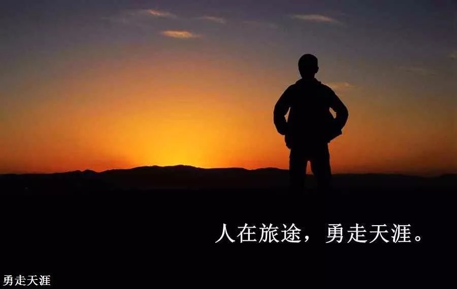 非洲草原旅行_非洲原野旅游攻略_非洲草原自驾游