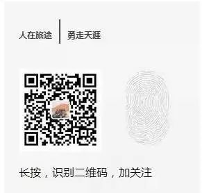 非洲草原自驾游_非洲草原旅行_非洲原野旅游攻略