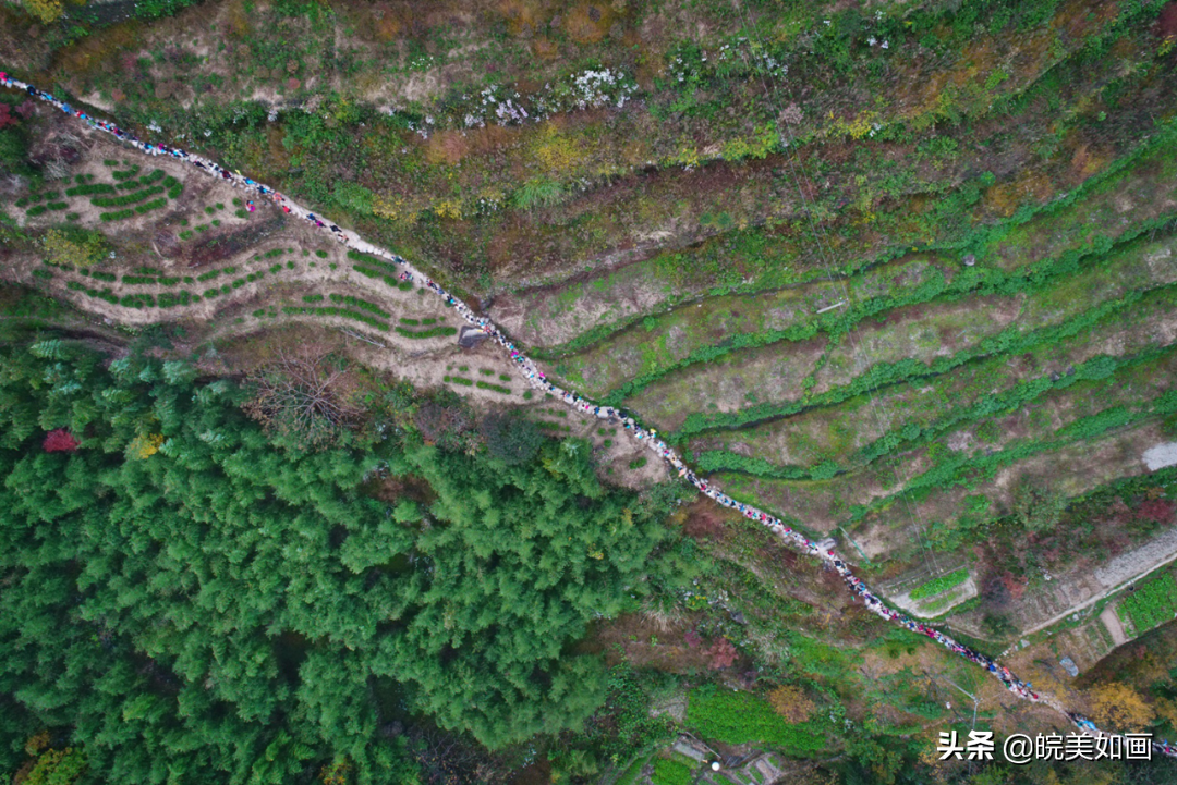 海坨山旅游攻略_交城卦山旅游攻略_杭州天目山旅游攻略