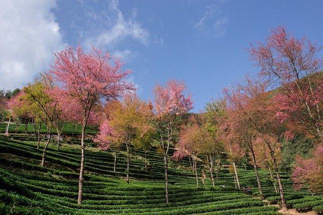 衢州旅游攻略自助游_攻略衢州旅游景点_衢州旅游攻略