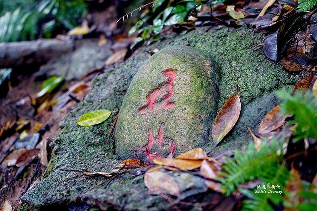 攻略衢州旅游景点_衢州旅游攻略自助游_衢州旅游攻略