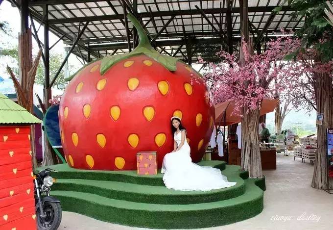 国外婚纱圣地_国外旅游婚纱价格_婚纱国外旅游价格贵吗