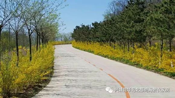 兴城觉华岛_兴城到觉华岛船票_兴城觉华岛旅游攻略