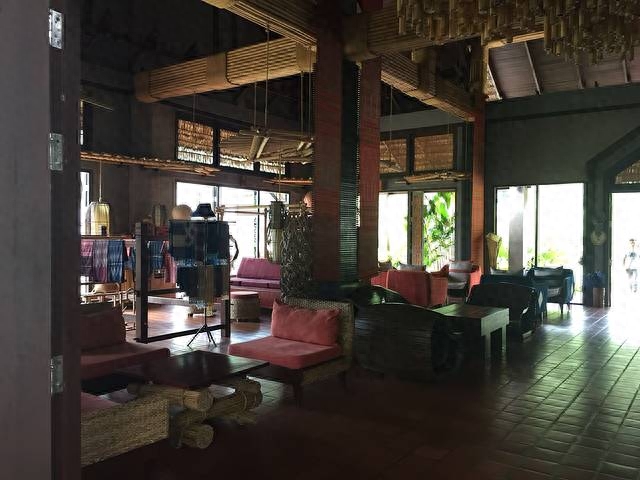 勐仑植物园旅游攻略_勐仑植物园一日游_勐仑植物园游记