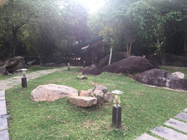 勐仑植物园一日游_勐仑植物园旅游攻略_勐仑植物园游记