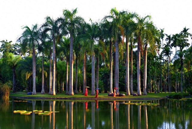 勐仑镇植物园_勐仑植物园住宿_勐仑植物园旅游攻略