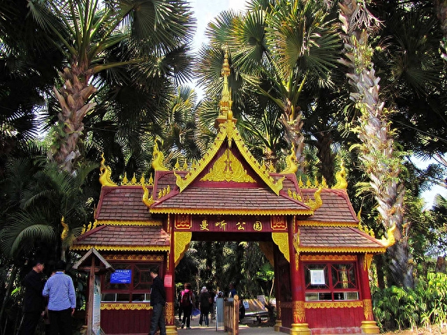 勐仑植物园住宿_勐仑镇植物园_勐仑植物园旅游攻略