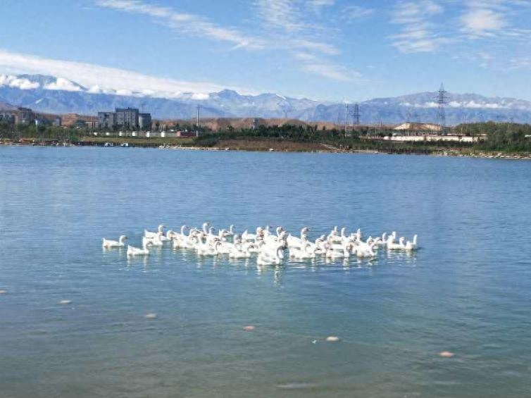 祁连县旅游攻略_祁连县一日游_祁连旅游攻略自助游