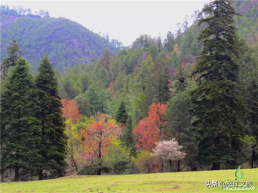 怒江旅游景点攻略_怒江州旅游攻略_怒江旅游线路