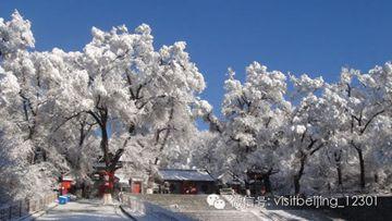 北京到雪乡自驾几个小时_北京到雪乡旅游攻略_北京去雪乡路线