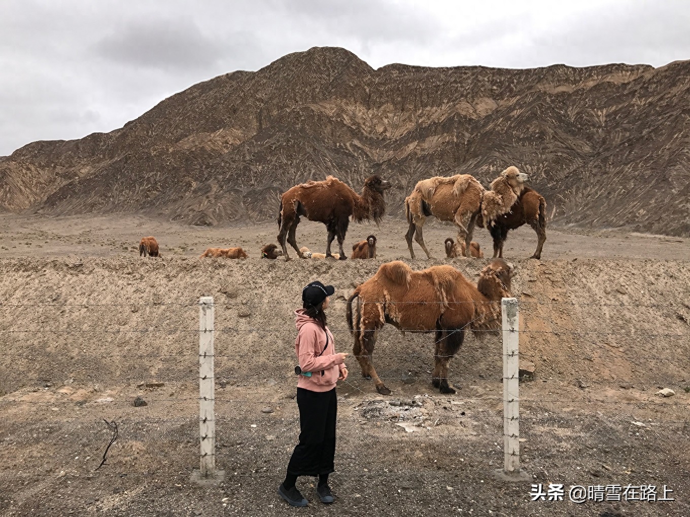 祁连县一日游_祁连县旅游攻略_祁连旅游攻略自助游