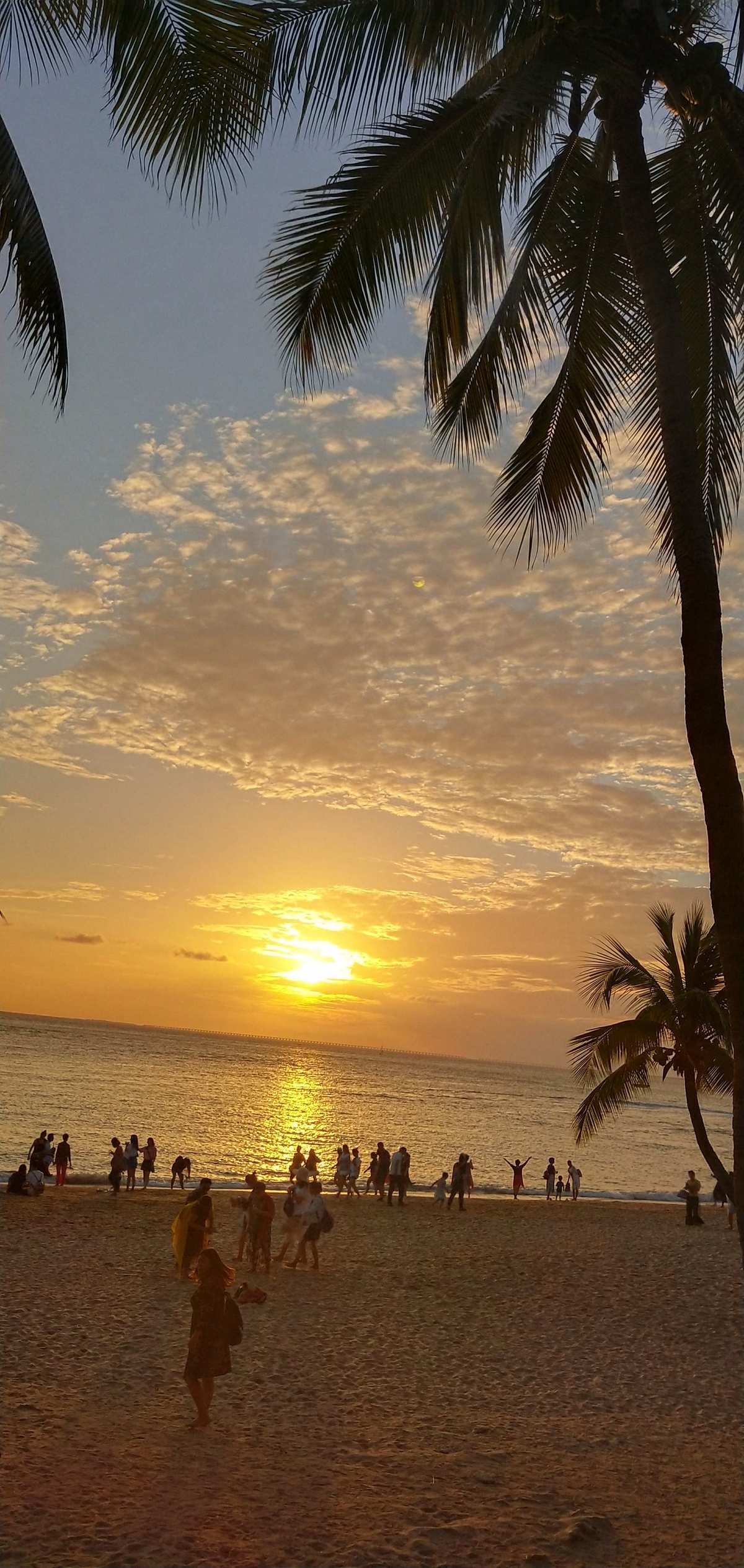 三亚5天4晚旅游攻略_三亚旅游天气查询_三亚旅游天气攻略
