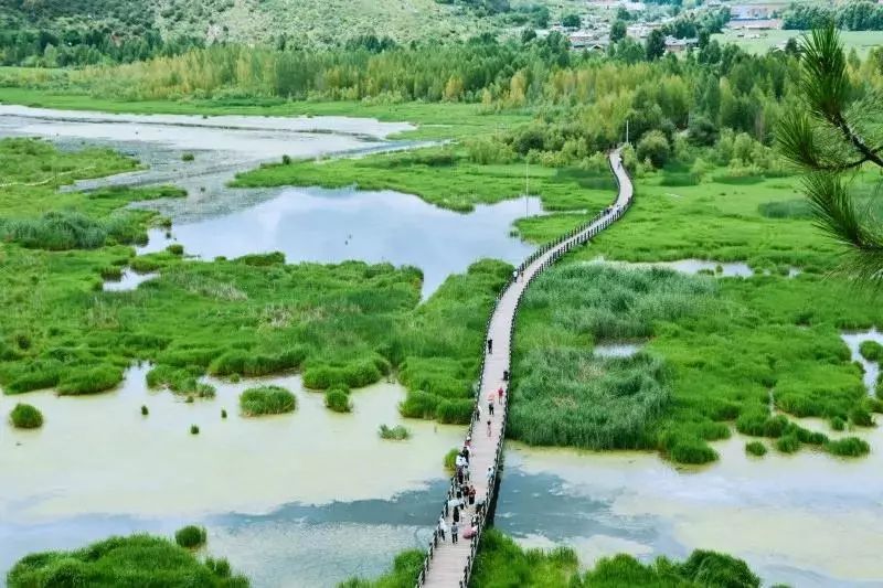 云南西双版纳旅游路线推荐_云南西双版纳游玩攻略_云南西双版纳二日旅游攻略