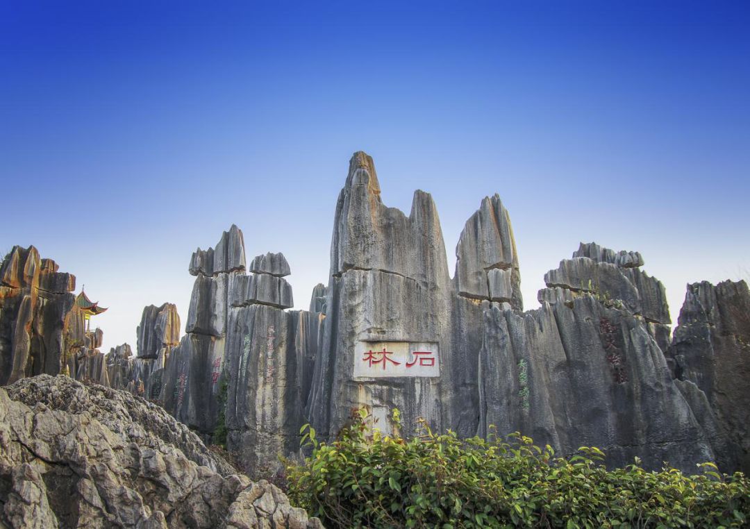 云南西双版纳旅游路线推荐_云南西双版纳游玩攻略_云南西双版纳二日旅游攻略