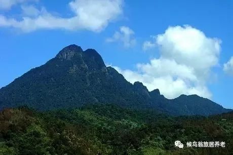 （蒙古记忆）五指山：大山深处才有的山珍野味