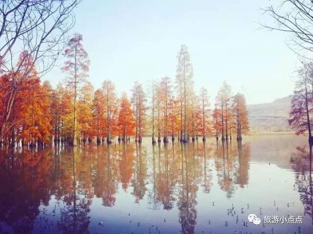 南京特色游玩地方_南京特色好玩的地方_南京好玩有特色的地方