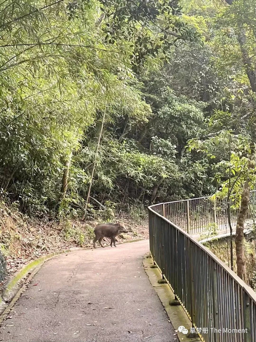 香港好玩儿的地方_好玩香港地方推荐_香港好玩的地方推荐