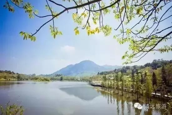 广州清远旅游攻略_清远旅游攻略自驾游_清远一日旅游攻略