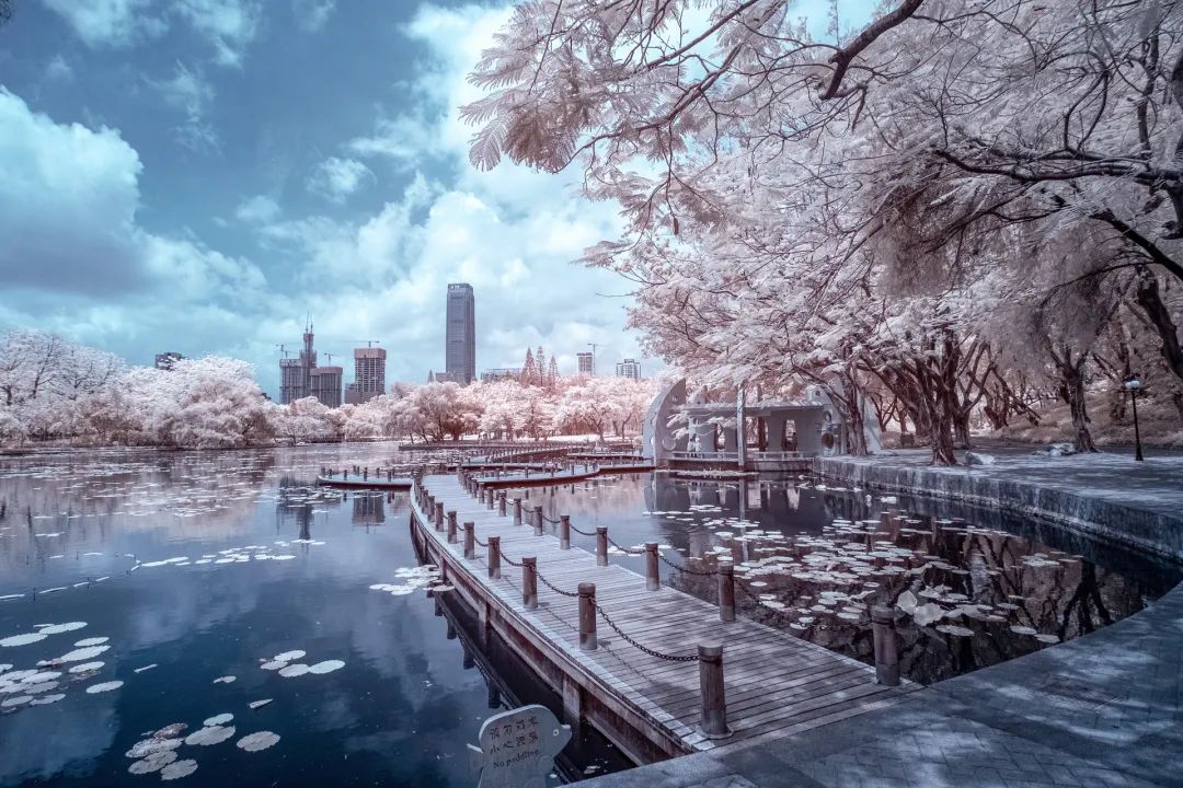 出国旅游老年人规定了年龄吗_老年人出国旅游的好处_老人出国年龄限制