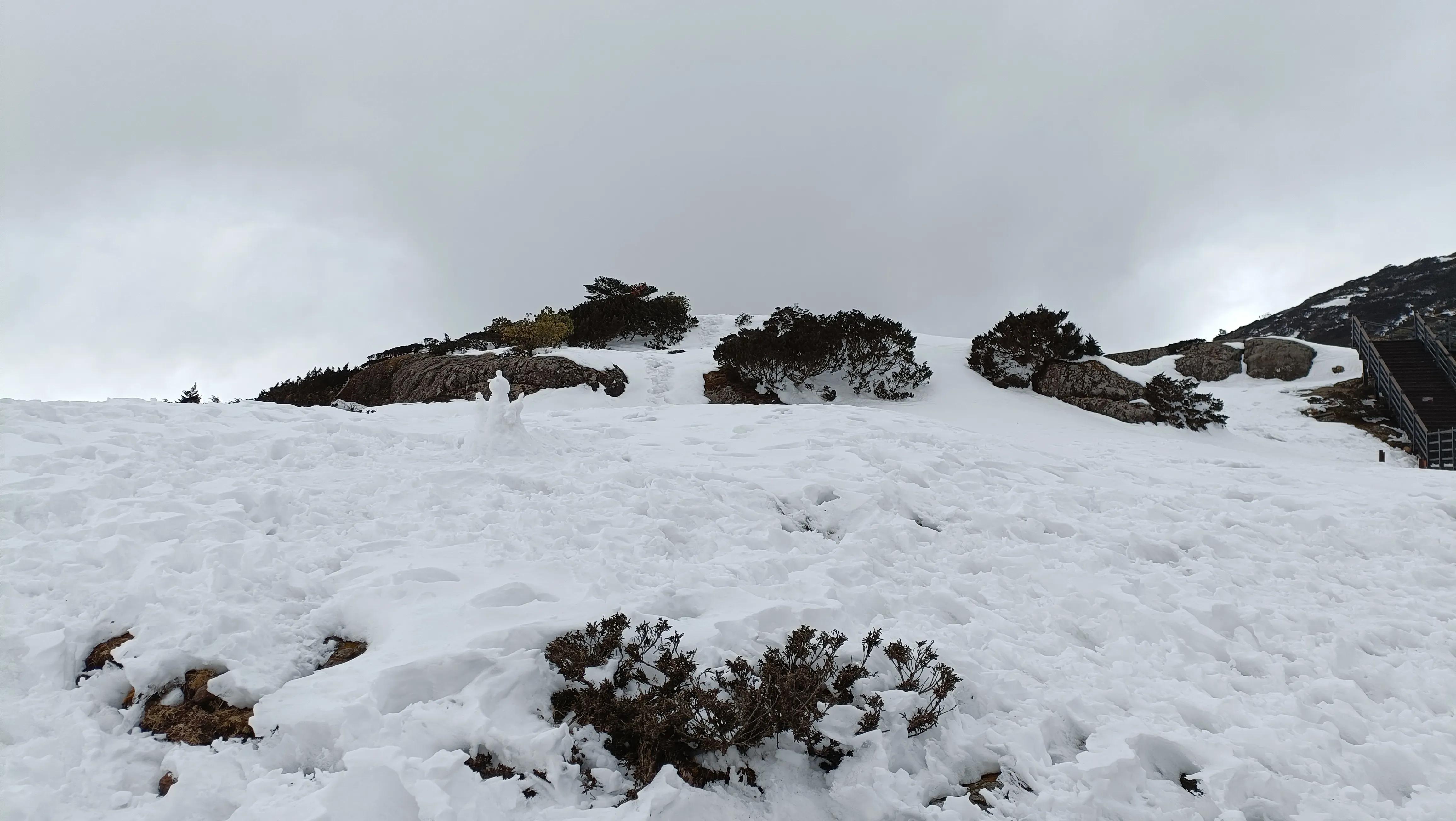 昆明轿子雪山一日游_昆明轿子雪山旅游攻略_云南昆明轿子雪山