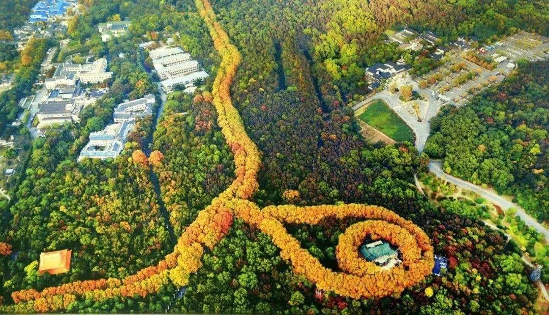 好玩门票南京地方要门票吗_好玩门票南京地方要买吗_南京好玩的地方不要门票