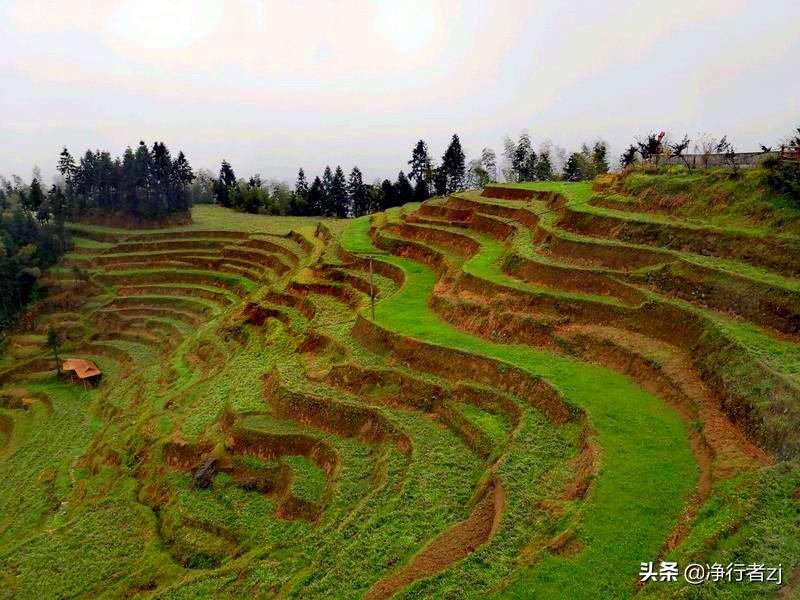 紫鹊界梯田的民情_紫鹊界梯田旅游攻略_紫鹊界梯田原理