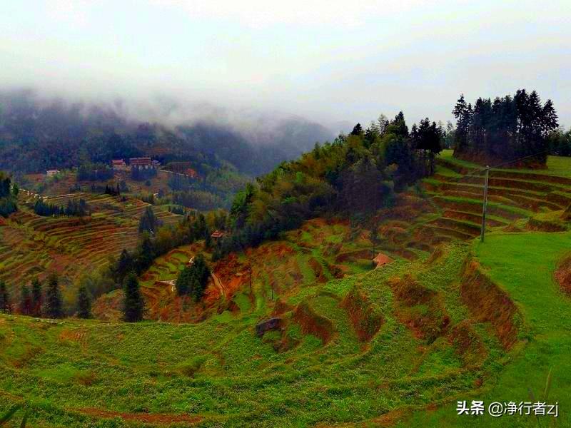 紫鹊界梯田原理_紫鹊界梯田的民情_紫鹊界梯田旅游攻略