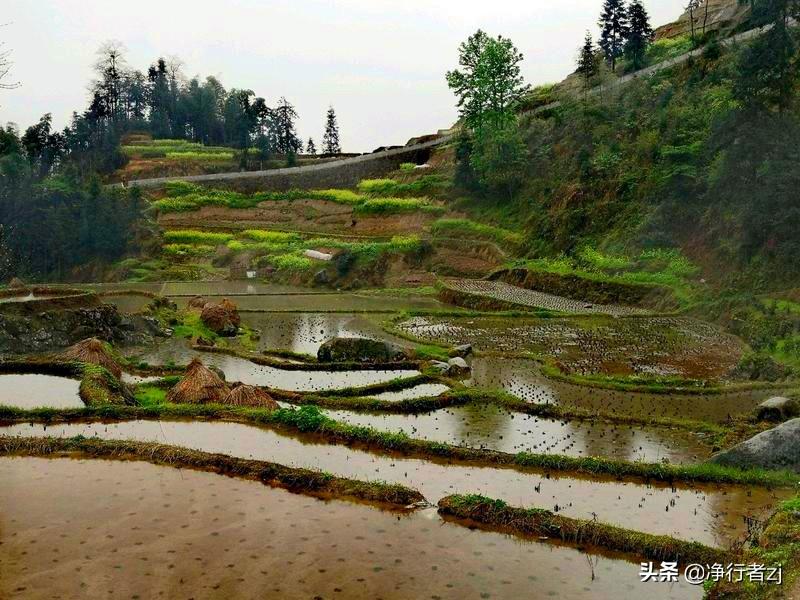 紫鹊界梯田旅游攻略_紫鹊界梯田原理_紫鹊界梯田的民情
