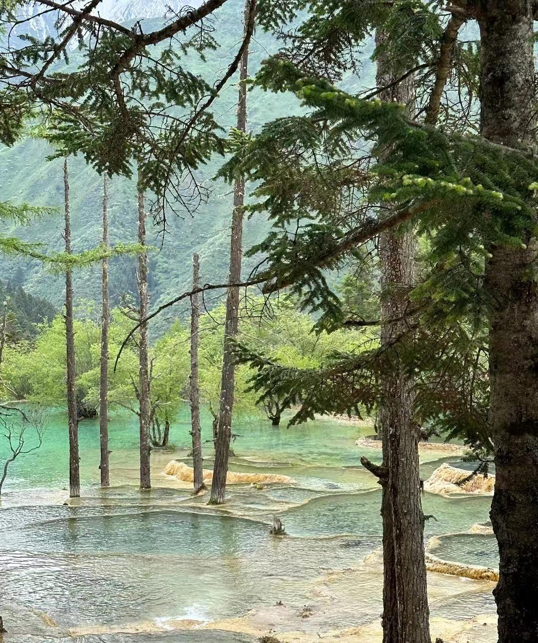 黄龙九寨在哪里_黄龙九寨沟旅游攻略_九寨黄龙经典旅游攻略