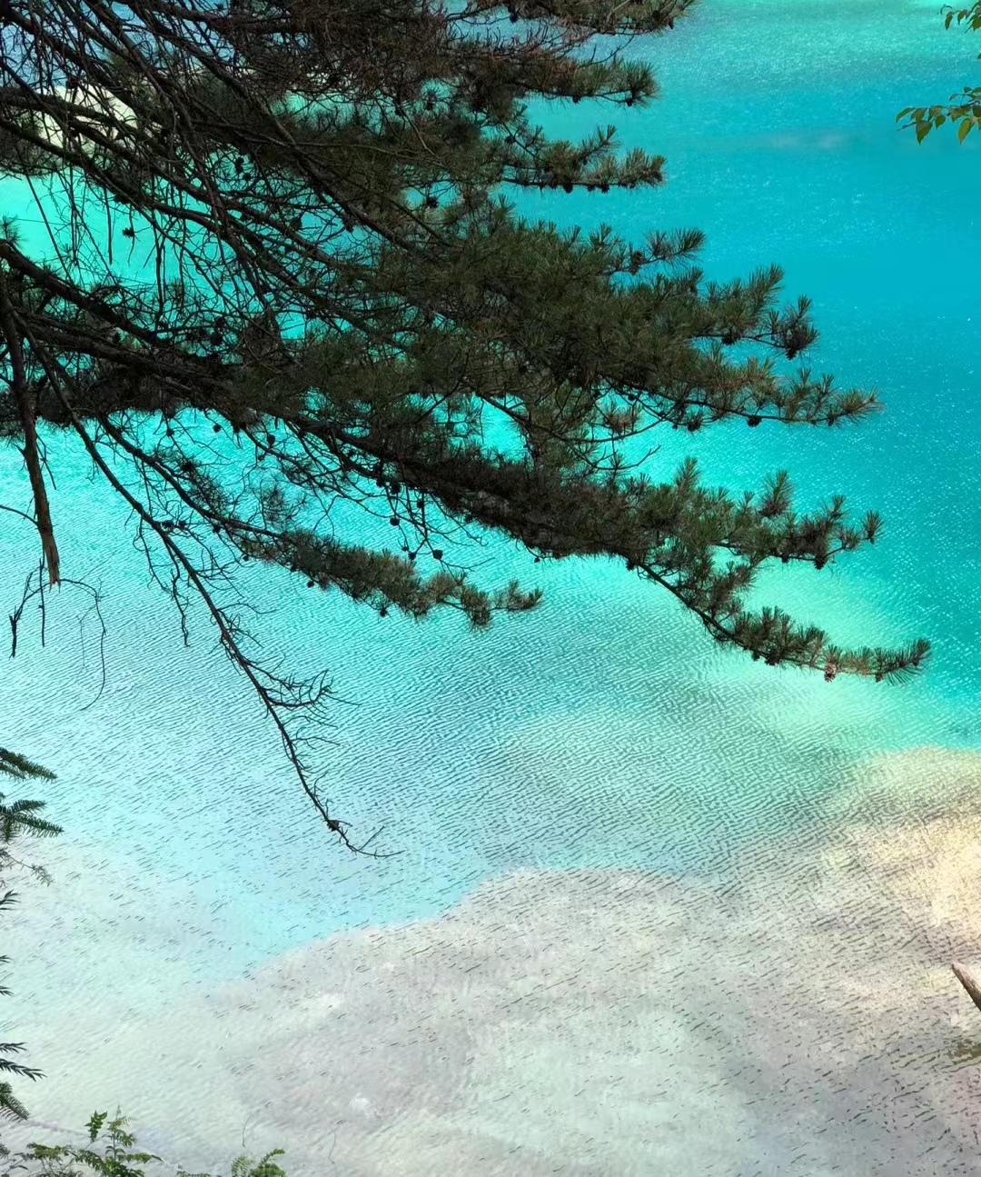 黄龙九寨沟旅游攻略_九寨黄龙经典旅游攻略_黄龙九寨在哪里