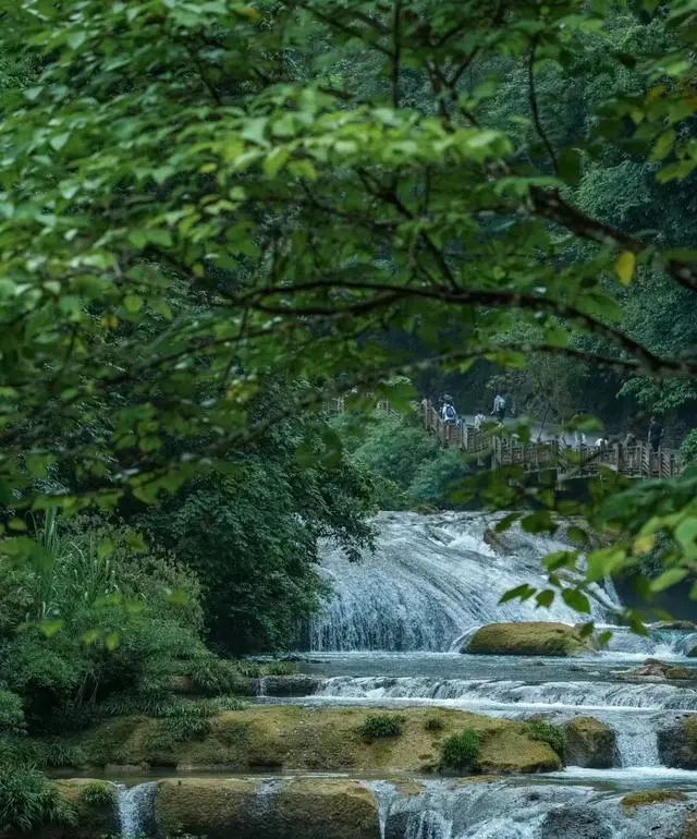 搜一下梵净山_梵净山旅游攻略2016_百度百科梵净山