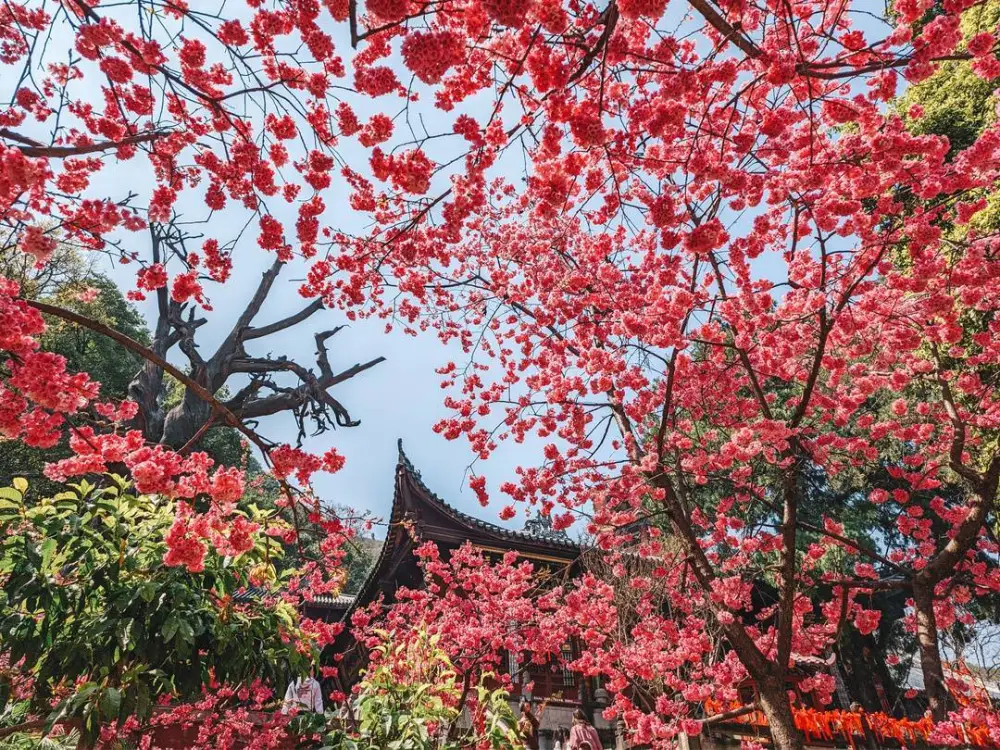宵节咋个过？西昌都有哪些活动？