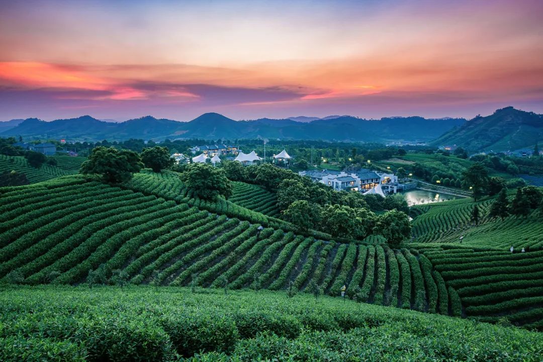 浙江安吉：中国竹乡最美白茶之乡安吉旅游攻略
