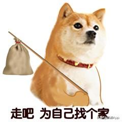 出国带狗_带狗狗出国旅游需要什么手续_带狗出国旅游需要什么手续
