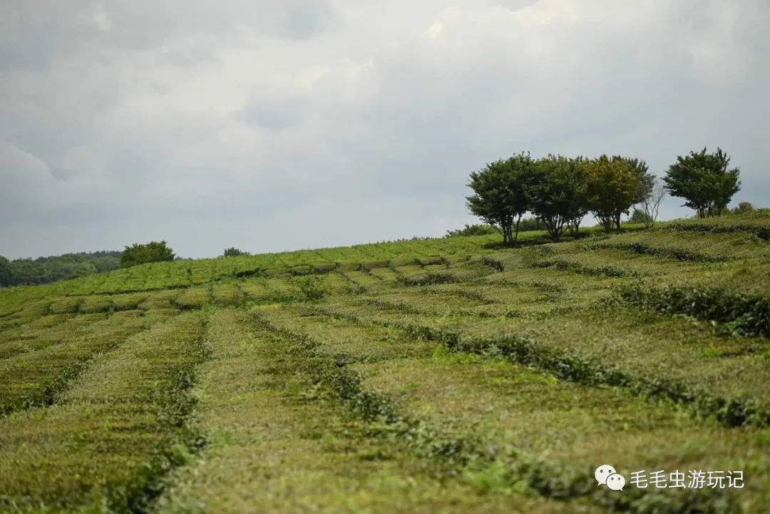 贵州凯里旅游必去景点_贵州凯里旅游攻略_贵州攻略凯里旅游景点推荐