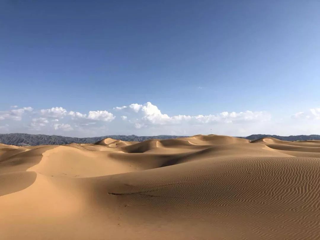 特立体育与宁夏沙坡头旅游产业集团有限责任公司签署合作框架协议