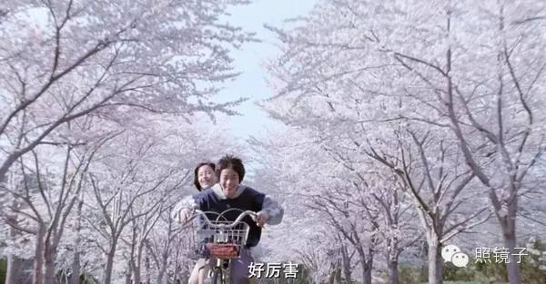 天安门广场的上海人和挤在外滩的北京人倒也都笑得很开心