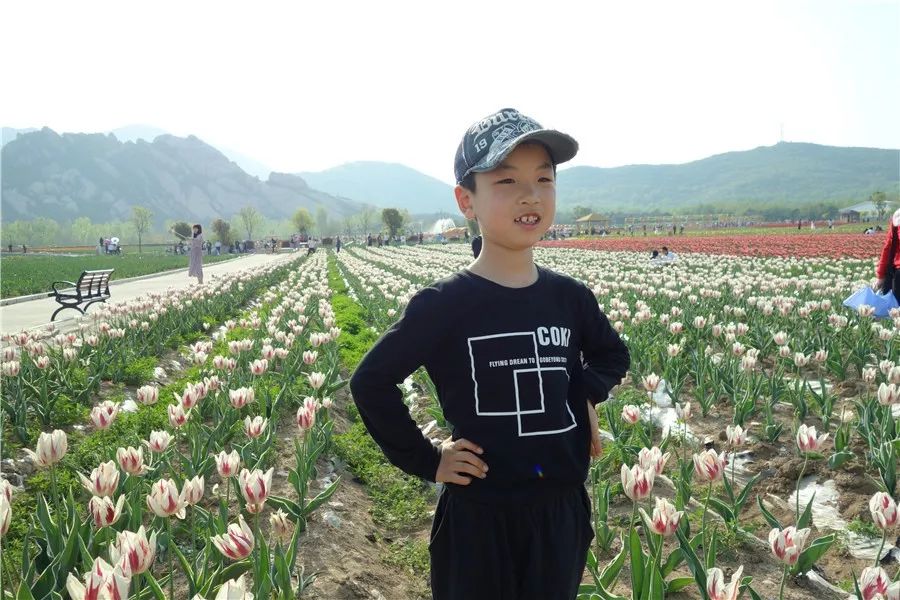 嵖岈山旅游攻略_旅游山景_旅游山景点哪最好