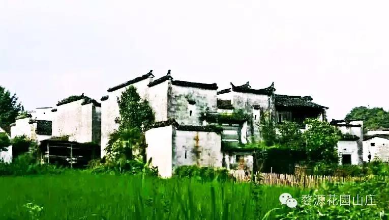 婺源北线旅游攻略艺龙_婺源丛溪旅游攻略_黄山婺源旅游攻略