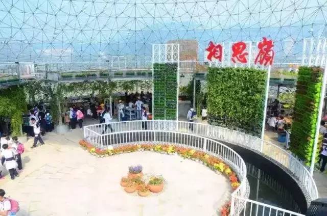 漳州金汤湾好玩不好玩_漳州好玩的景点_漳州景点大全景点排名