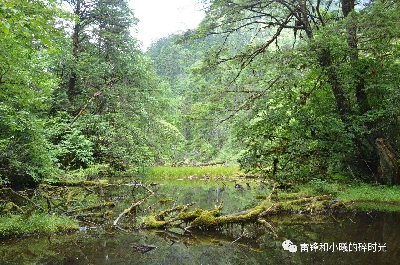 天露山徒步攻略_九皇山徒步一日游攻略_贡嘎山旅游攻略徒步