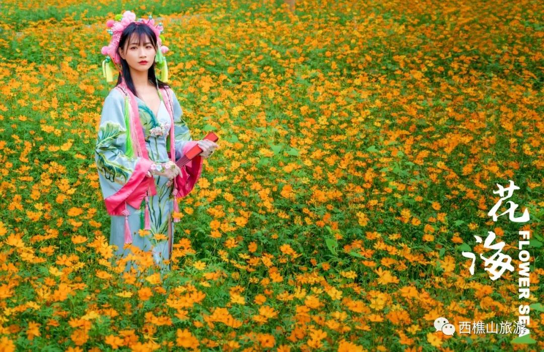 辰山植物园旅游攻略_西樵山旅游攻略_四姑娘山山旅游攻略
