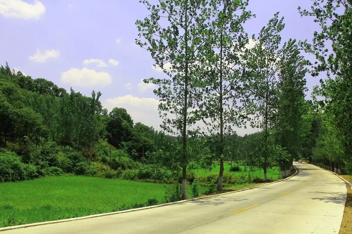深圳免费好玩的景点_好玩景点深圳免费的地方_深圳好玩的免费景点