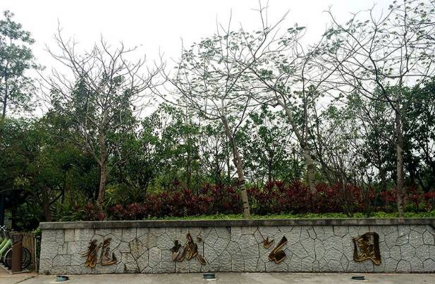 深圳免费好玩的景点_好玩景点深圳免费的地方_深圳好玩的免费景点
