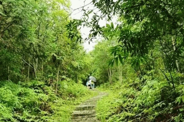 崛围山风景区游玩攻略_苏家围游玩攻略_摩围山风景区游玩攻略