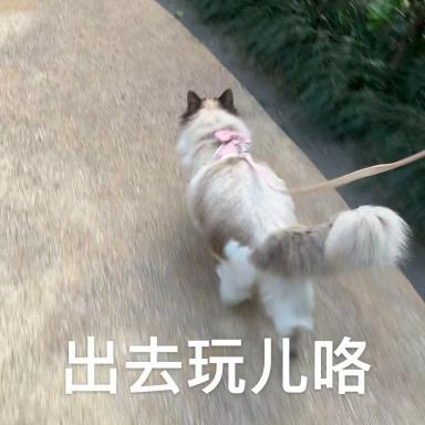 天津好玩景点推荐_天津好玩儿的景点_天津好玩的景点
