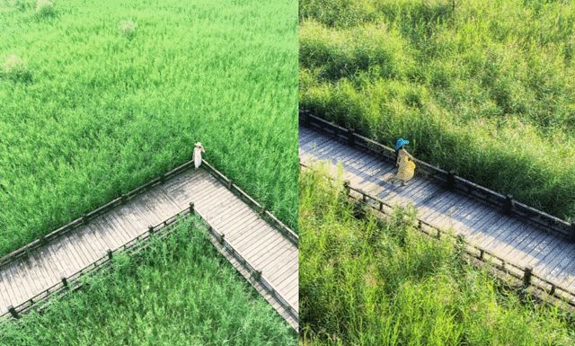 2020海坨山一日游_海坨山旅游攻略_海坨山徒步