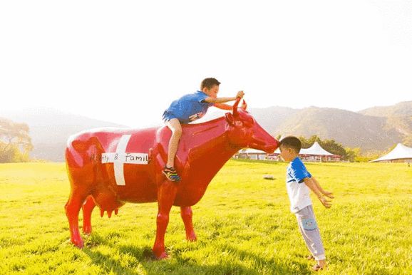 2020海坨山一日游_海坨山旅游攻略_海坨山徒步